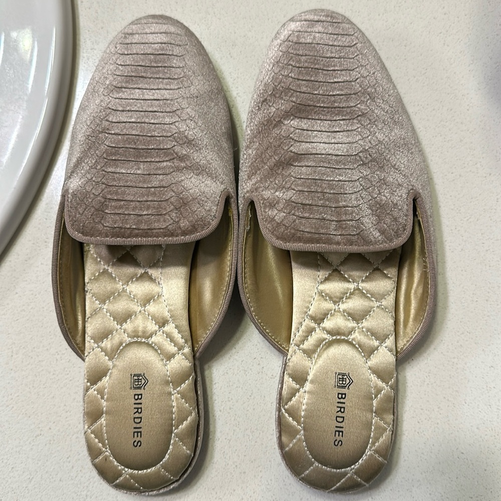 Birdies Python Slides - image 1